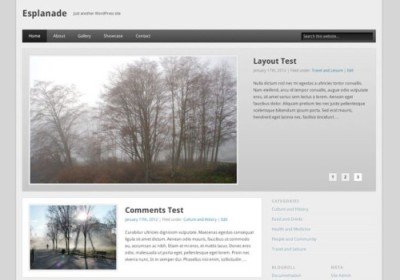 temas responsive design wordpress