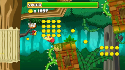 8- Phoenix Run