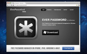 Ever Password gestor de contraseñas con un diseño atractivo Ever Password gestor de contraseñas con un diseño atractivo