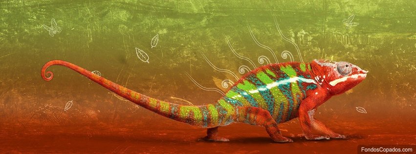 8 hermosas portadas para Facebook camaleon_camuflado-851x315 (tecnologiamaestro.com)