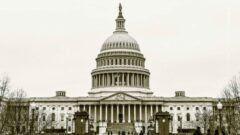 Wikipedia bloquea al Congreso de EE.UU por bromas y alteraciones en artículos Wikipedia bloquea al Congreso de EE.UU por bromas y alteraciones en artículos