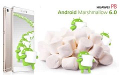 Huawei P8 ya se puede actualizar a Android 6.0 Marshmallow Huawei P8 ya se puede actualizar a Android 6.0 Marshmallow
