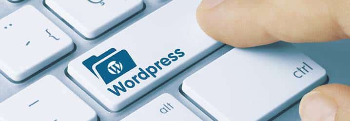 Wordpress boton